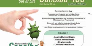 400Mg Sanalba Tablet