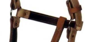 Horse Halter