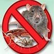 Rodent Control Services