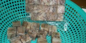 Frozen Octopus Cubes