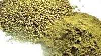 Dry Coriander Powder