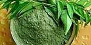 Dehydrated Curry Leaves Powder