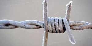Barbed Wire 02