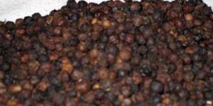 Black Pepper Oil