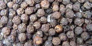 Black Pepper Seeds