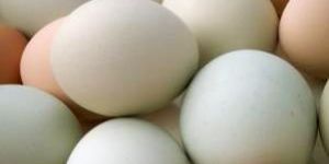 Hen Eggs