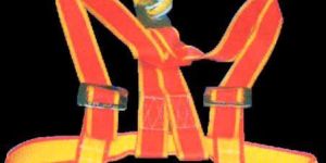 Safety Harness (Class D)