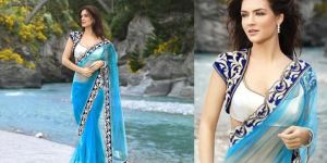 Net Sarees
