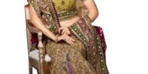 Wedding Lehenga Choli : S5