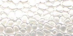 Industrial Sheets - 04