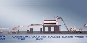 Frozen Vegetable Processing Plant