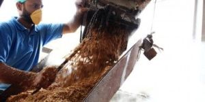 Printed Packaging Box