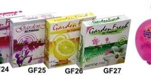 Toilet Air Freshener