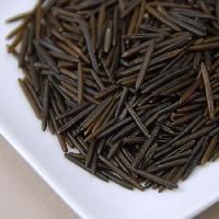 Wild Rice
