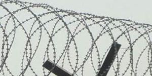 Concertina Wire
