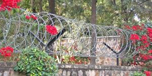 Punched Tape Concertina Coil
