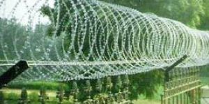 Punched Tape Concertina Coils