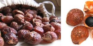 Soap Nut