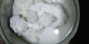 Buffaloes Organic Homemade Butter