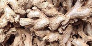 Dried Ginger