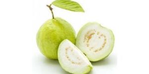 Fresh Guava
