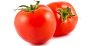 Fresh Tomato