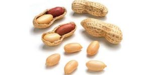 Groundnuts
