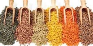 Indian Pulses
