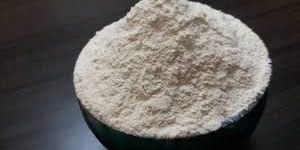 White Onion Powder