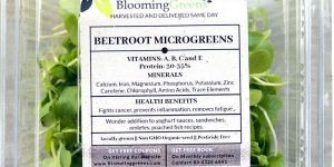 Beetroot Microgreens