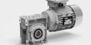 Worm Reduction Gears