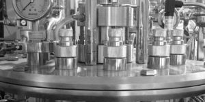 Industrial Fermentor