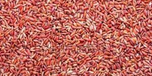 Natural Red Rice