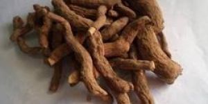 Sarpagandha Root