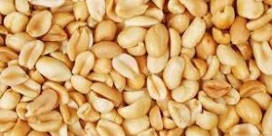 Blanched Peanuts