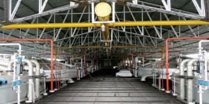 Highly Efficient Fermentation Plants