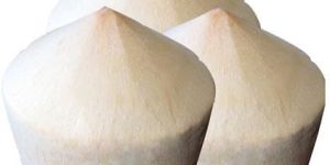 Tender Coconut Water Processing Machinery