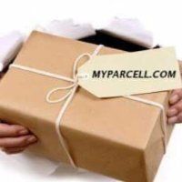 Air Courier Services