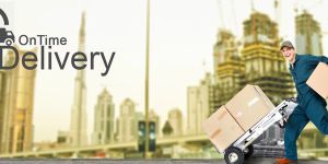 Express Parcel Service