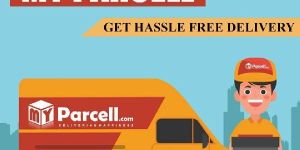 International Courier Services