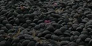 Met Coke / Metallurgical Coke Breeze Briquettes