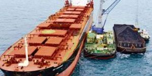 Steam Coal Indonesian