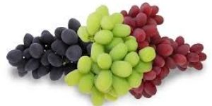 Fresh Grapes