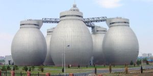 Anaerobic Digester