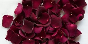 Dry Red Rose Petals