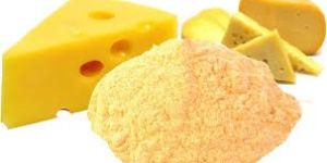 Spray Dried Cheese Powder