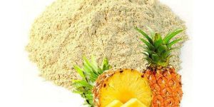 Spray Dried Pineapple Powder