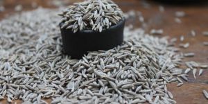 Cumin Seeds