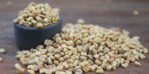Fenugreek Seeds