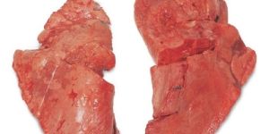 Frozen Pork Lungs